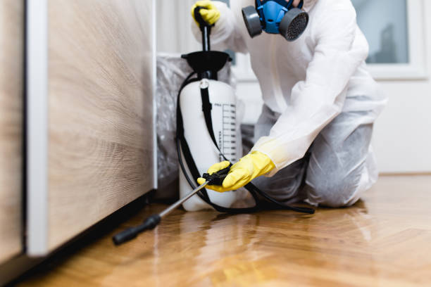 Best Emergency Pest Control  in York, AL