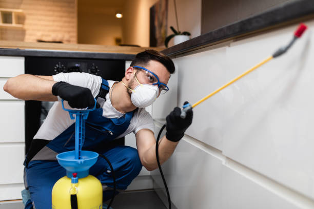 Best Pest Inspection Near Me  in York, AL