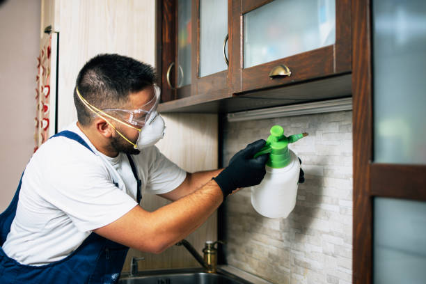 Best Pest Prevention Services  in York, AL