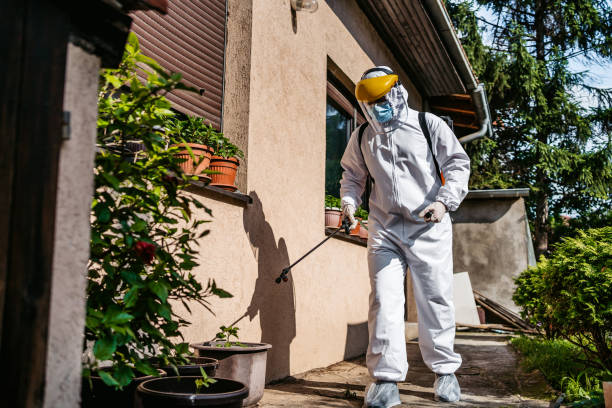 Best Pest Prevention Services  in York, AL