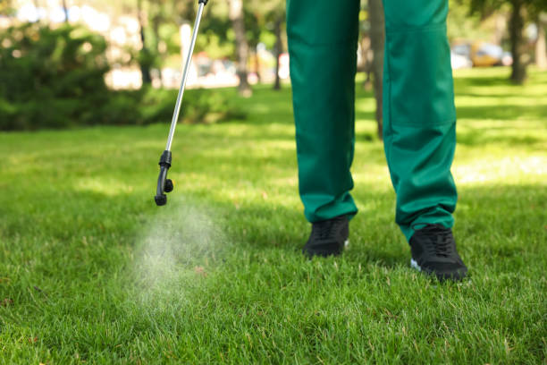 Best Exterminator Services  in York, AL