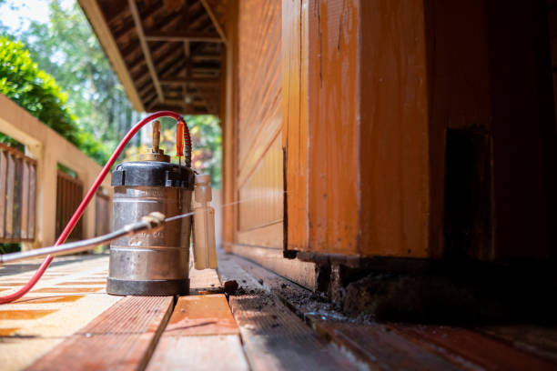 Best Ant Control Services  in York, AL