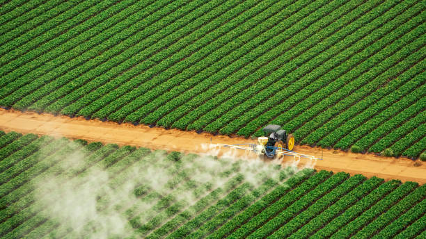 Pest Control Cost in York, AL