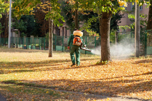 Pest Prevention Services in York, AL