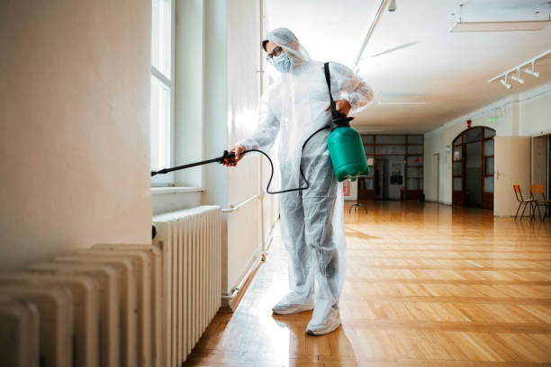 Best Rat Extermination Near Me  in York, AL
