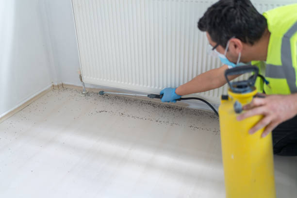 Best Termite Control Services  in York, AL