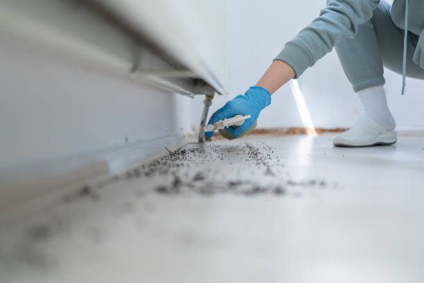 Best Wildlife Control Services  in York, AL